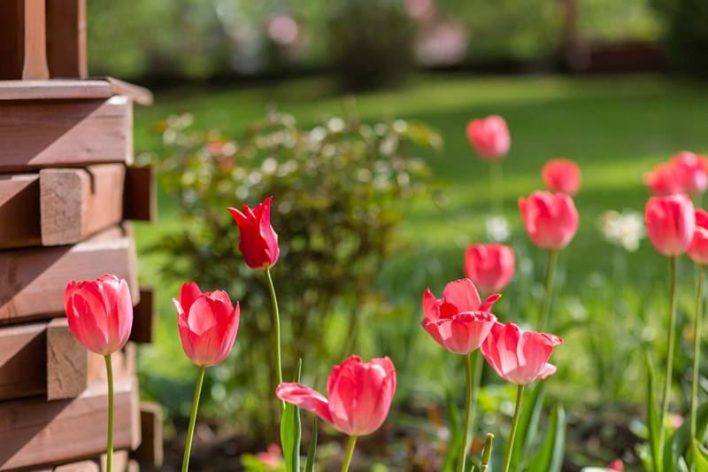 villa Zakopane huoneet majoitus vuoret Tatra vuoristossa rentoutuminen Puolassa